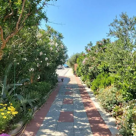 Apartma Smit דירה *